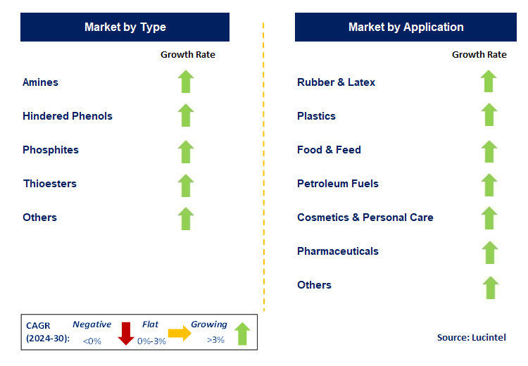 Synthetic Antioxidant by Segment